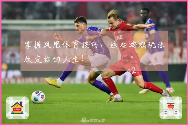 掌握凤凰体育技巧，这些游戏玩法改变你的人生！