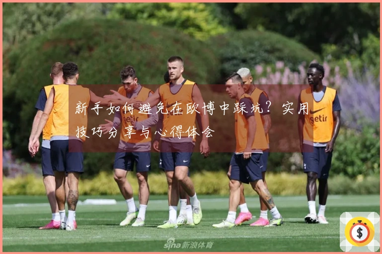 新手如何避免在欧博中踩坑？实用技巧分享与心得体会